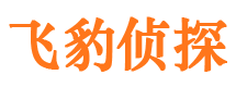 居巢婚外情调查取证